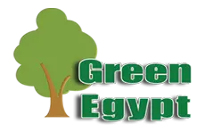 جرين إيجبت