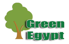 جرين إيجبت
